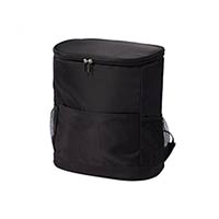 25QT-55QT Plastic Cooling box