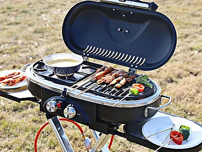 Use BBQ Grill to Make These 10 Impressive Dishes