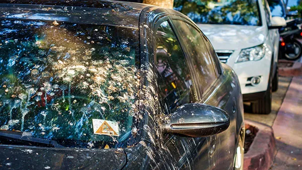 Cubierta de coche universal