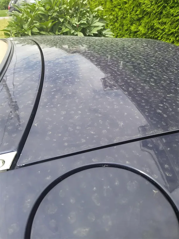 Cubierta de coche universal