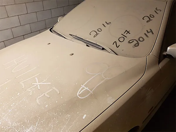 Cubierta de coche universal