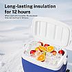 Camping Insulated Coolers - 60Y06M