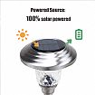 Solar Pathway Light - 60J09B