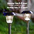 Solar Pathway Light - 60J09B