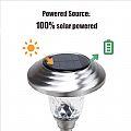 Solar Pathway Light - 60J09B