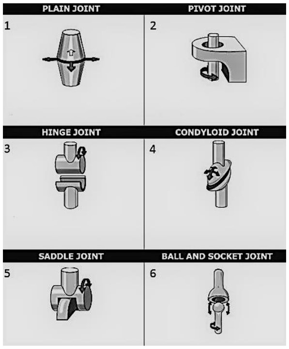 juntas de sillas plegables de plastico
