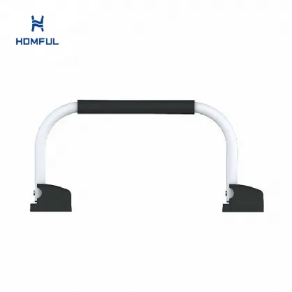 RV Assist Rail
