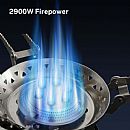 Portable Camping Gas Stove - 60S08N