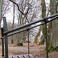 Self-Standing Tree Stand - 70P09C
