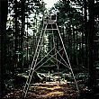 Self-Standing Tree Stand - 70P09C