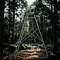 Self-Standing Tree Stand - 70P09C