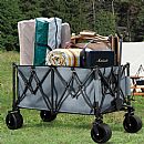 Gathering with Ceiling Folding Wagon - 60F02R